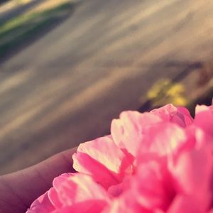 Meet your Posher, Ariana